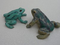 /album/galerie-photos/grenouille-2-jpg/